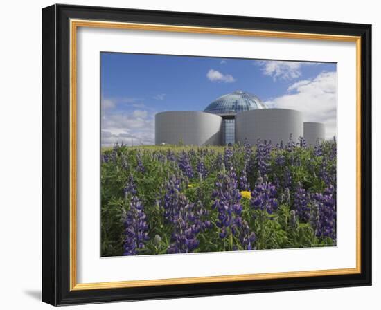 Wild Purple Lupins Surrounding the Pearl (Perlan) Oskjulid Dome, Reykjavik, Iceland, Polar Regions-Neale Clarke-Framed Photographic Print