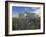 Wild Purple Lupins Surrounding the Pearl (Perlan) Oskjulid Dome, Reykjavik, Iceland, Polar Regions-Neale Clarke-Framed Photographic Print