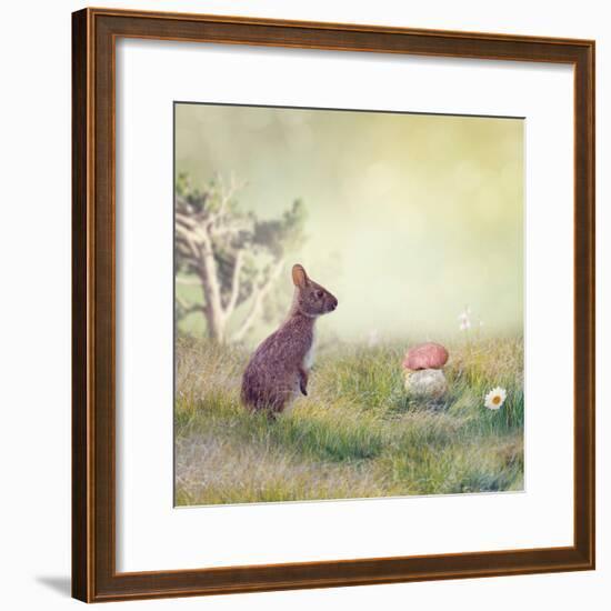 Wild Rabbit Standing Up in the Grass-Svetlana Foote-Framed Photographic Print