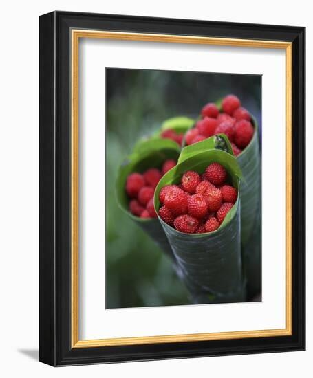 Wild Raspberries Held in the Leaf of a Porcelaine Rose, Sao Tomé and Principé-Camilla Watson-Framed Photographic Print