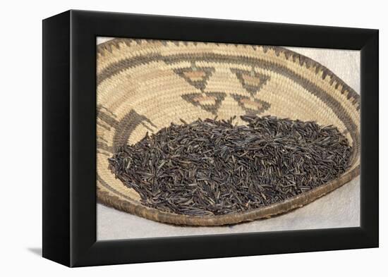 Wild Rice from the Great Lakes Area-null-Framed Premier Image Canvas