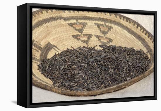 Wild Rice from the Great Lakes Area-null-Framed Premier Image Canvas