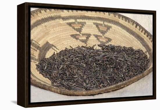 Wild Rice from the Great Lakes Area-null-Framed Premier Image Canvas