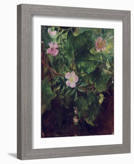 Wild Rose and Grape Vine, Study from Nature, 1871-John La Farge-Framed Giclee Print