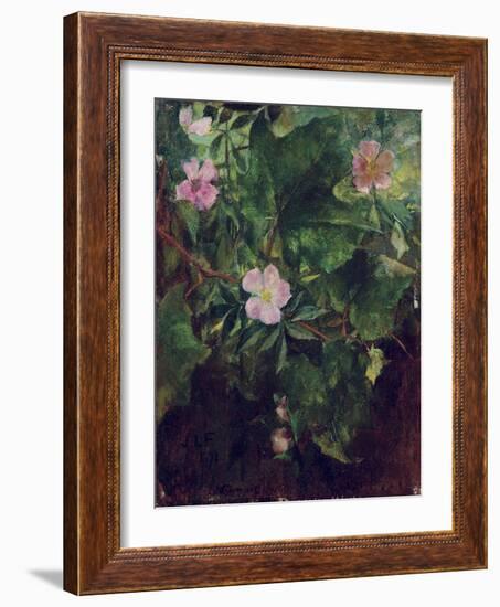 Wild Rose and Grape Vine, Study from Nature, 1871-John La Farge-Framed Giclee Print