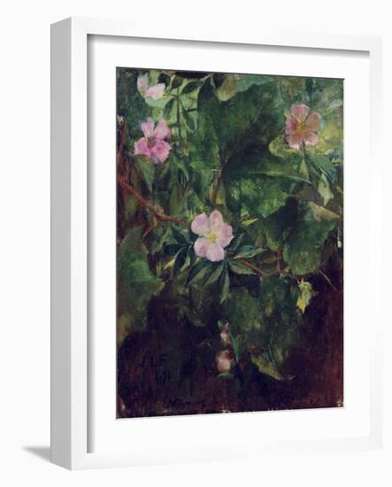 Wild Rose and Grape Vine, Study from Nature, 1871-John La Farge-Framed Giclee Print