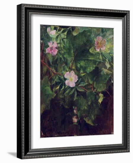 Wild Rose and Grape Vine, Study from Nature, 1871-John La Farge-Framed Giclee Print