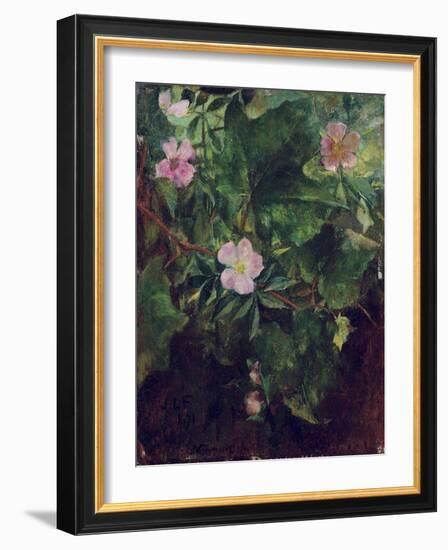 Wild Rose and Grape Vine, Study from Nature, 1871-John La Farge-Framed Giclee Print