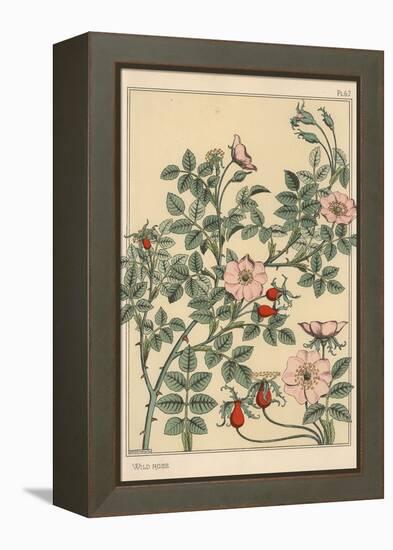 Wild Rose Botanical Study, 1897 (Lithograph)-Eugene Grasset-Framed Premier Image Canvas