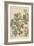 Wild Rose Botanical Study, 1897 (Lithograph)-Eugene Grasset-Framed Giclee Print