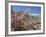 Wild Rose Shrub in Blossom with Mountains Beyond, Spiti Valley, Spiti, Himachal Pradesh, India-Simanor Eitan-Framed Photographic Print