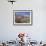 Wild Rose Shrub in Blossom with Mountains Beyond, Spiti Valley, Spiti, Himachal Pradesh, India-Simanor Eitan-Framed Photographic Print displayed on a wall