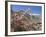 Wild Rose Shrub in Blossom with Mountains Beyond, Spiti Valley, Spiti, Himachal Pradesh, India-Simanor Eitan-Framed Photographic Print