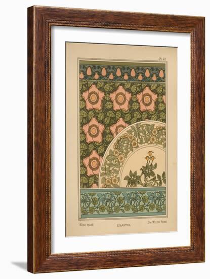 Wild Rose-null-Framed Giclee Print