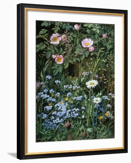 Wild Roses, Forget-Me-Nots and Daisies-Otto Franz Scholderer-Framed Giclee Print