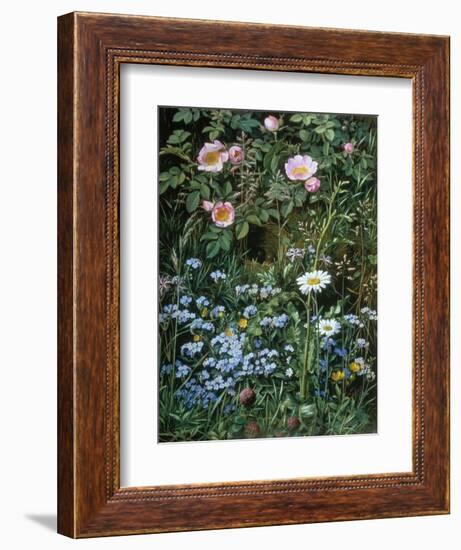 Wild Roses, Forget-Me-Nots and Daisies-Otto Franz Scholderer-Framed Giclee Print