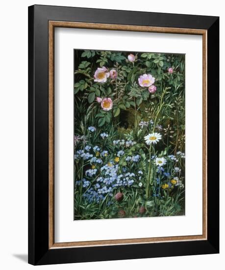 Wild Roses, Forget-Me-Nots and Daisies-Otto Franz Scholderer-Framed Giclee Print