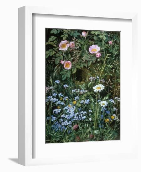 Wild Roses, Forget-Me-Nots and Daisies-Otto Franz Scholderer-Framed Giclee Print