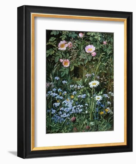 Wild Roses, Forget-Me-Nots and Daisies-Otto Franz Scholderer-Framed Giclee Print