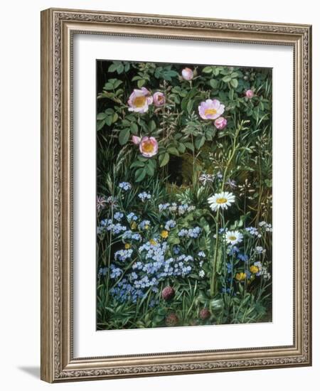 Wild Roses, Forget-Me-Nots and Daisies-Otto Franz Scholderer-Framed Giclee Print