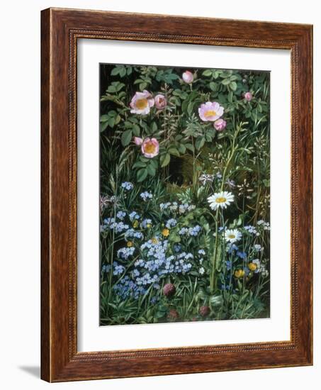 Wild Roses, Forget-Me-Nots and Daisies-Otto Franz Scholderer-Framed Giclee Print