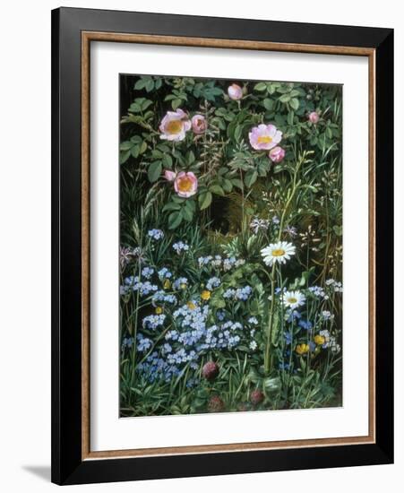 Wild Roses, Forget-Me-Nots and Daisies-Otto Franz Scholderer-Framed Giclee Print