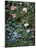 Wild Roses, Forget-Me-Nots and Daisies-Otto Franz Scholderer-Mounted Giclee Print