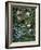 Wild Roses, Forget-Me-Nots and Daisies-Otto Franz Scholderer-Framed Giclee Print