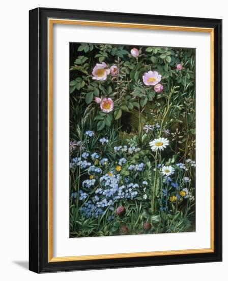 Wild Roses, Forget-Me-Nots and Daisies-Otto Franz Scholderer-Framed Giclee Print