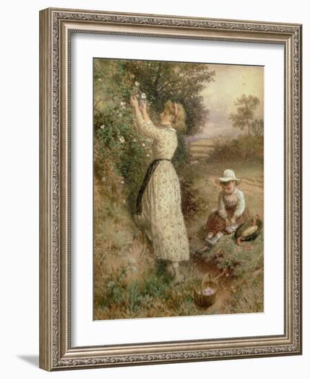 Wild Roses-Myles Birket Foster-Framed Giclee Print