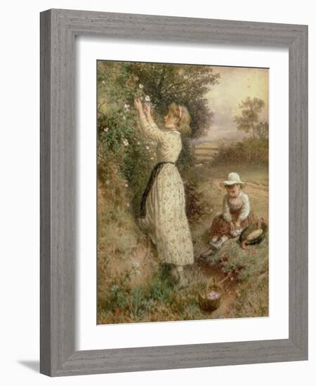 Wild Roses-Myles Birket Foster-Framed Giclee Print