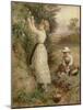 Wild Roses-Myles Birket Foster-Mounted Giclee Print