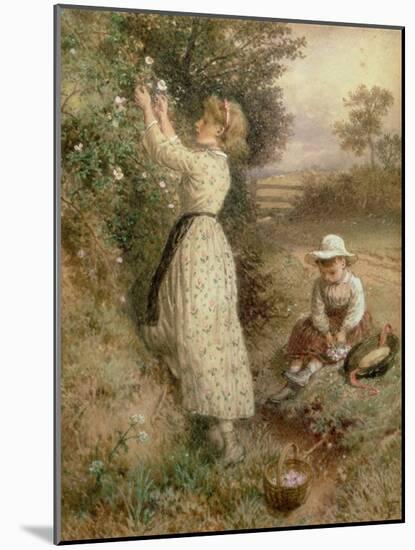 Wild Roses-Myles Birket Foster-Mounted Giclee Print