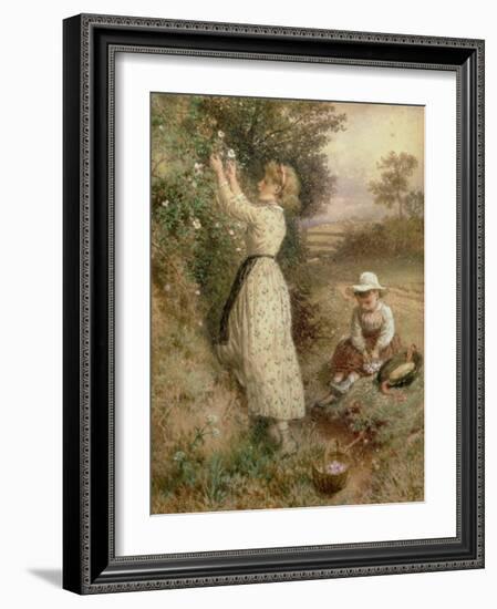 Wild Roses-Myles Birket Foster-Framed Giclee Print