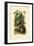 Wild Sage, 1833-39-null-Framed Giclee Print