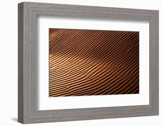 Wild Sand Dunes - Sunset Ripple-Philippe HUGONNARD-Framed Photographic Print