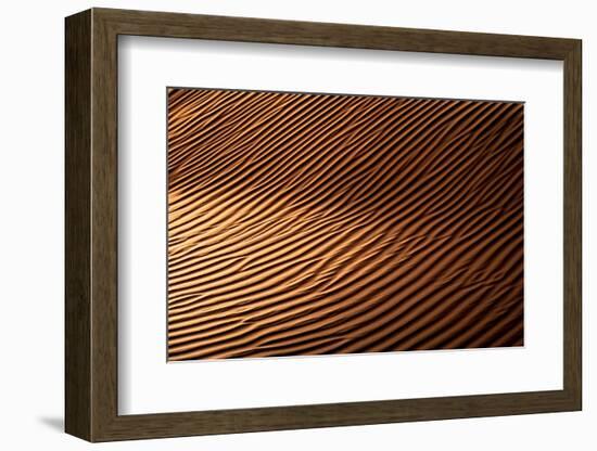 Wild Sand Dunes - Sunset Ripple-Philippe HUGONNARD-Framed Photographic Print