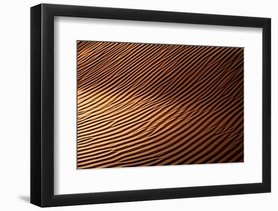 Wild Sand Dunes - Sunset Ripple-Philippe HUGONNARD-Framed Photographic Print