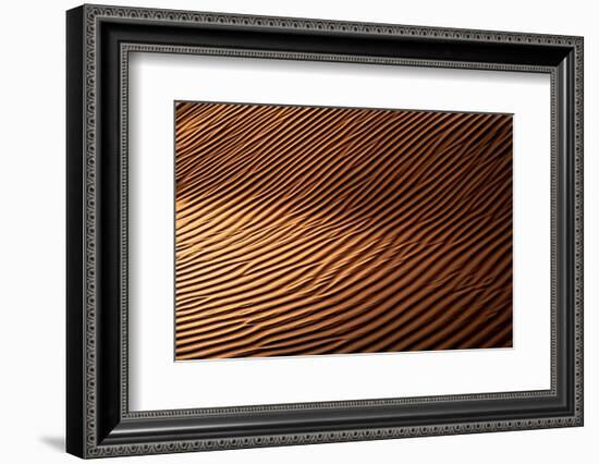 Wild Sand Dunes - Sunset Ripple-Philippe HUGONNARD-Framed Photographic Print