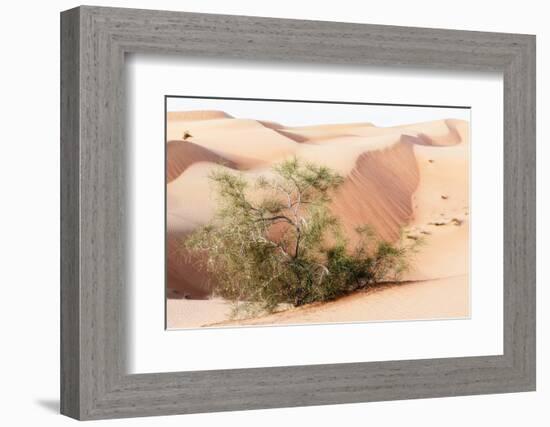 Wild Sand Dunes - Survivor-Philippe HUGONNARD-Framed Photographic Print