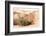 Wild Sand Dunes - Survivor-Philippe HUGONNARD-Framed Photographic Print