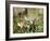 Wild Sandhill Crane with Days Old Chick (Grus Canadensis), Myakka River State Park, Florida, Usa-Maresa Pryor-Framed Photographic Print