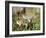 Wild Sandhill Crane with Days Old Chick (Grus Canadensis), Myakka River State Park, Florida, Usa-Maresa Pryor-Framed Photographic Print