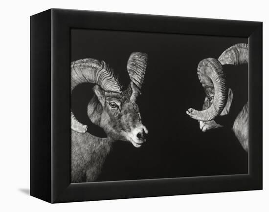 Wild Scratchboard I-Julie Chapman-Framed Stretched Canvas