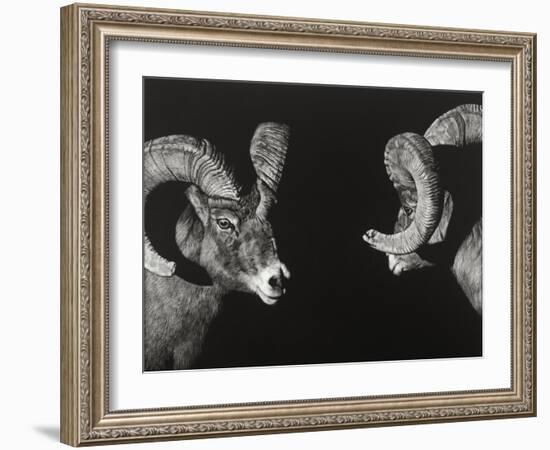 Wild Scratchboard I-Julie Chapman-Framed Art Print