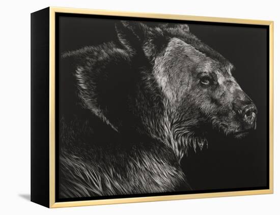 Wild Scratchboard II-Julie Chapman-Framed Stretched Canvas