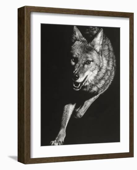 Wild Scratchboard V-Julie Chapman-Framed Art Print