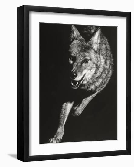 Wild Scratchboard V-Julie Chapman-Framed Art Print