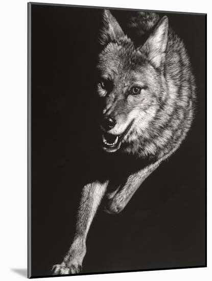 Wild Scratchboard V-Julie Chapman-Mounted Art Print