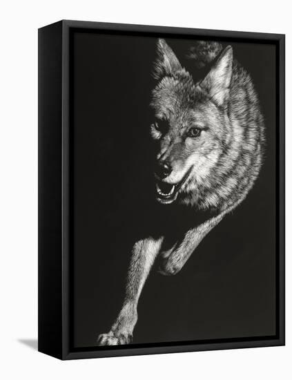 Wild Scratchboard V-Julie Chapman-Framed Stretched Canvas